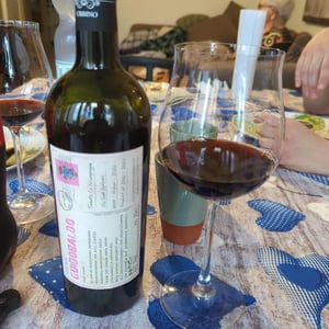 Guidobaldo - Tenuta Ca’ Sciampagne - Leonardo Cossi, Paola Grillo 
