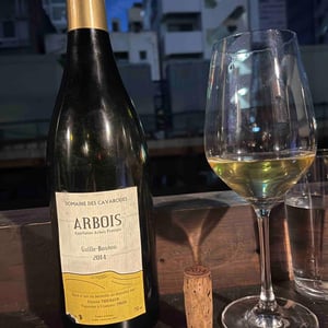 Guille-Bouton - Domaine des Cavarodes - Etienne Thiebaud 