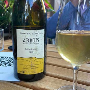 Guille-Bouton - Domaine des Cavarodes - Etienne Thiebaud 