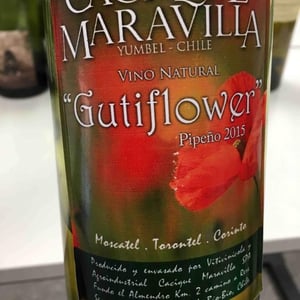 Gutiflower - Cacique Maravilla - manuel-moraga