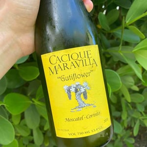 Gutiflower - Cacique Maravilla - Manuel Moraga 