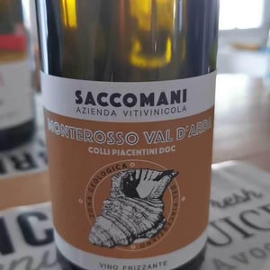 Gutturnio - Azienda Vitivinicola Saccomani - saccomani-giuseppe-luca-e-claudia