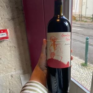Gvantsa´s Wine Aladasturi - Baia's Wine - gvantsa-giorgi-baia-abuladze -2019