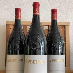 Habemus Papam - Domaine de Villeneuve - stanislas-wallut -2019
