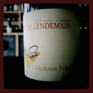El pelut - Domaine du Lendemain - mireille-ribiere -2021