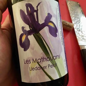 Lledoner Pelut - Domaine des Mathouans - aline-hock