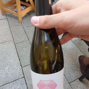 Muskateller - Natural - Weingut Hajszan Neumann - Fritz Wieninger 