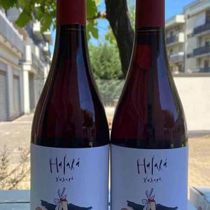 Halará Rosato X De Franco, Dottori, Scarfone, Amerighi - Vini Barraco - antonino-barraco -2019