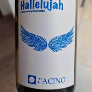 Hallelujah - L'Acino - Dino Briglio Nigro 