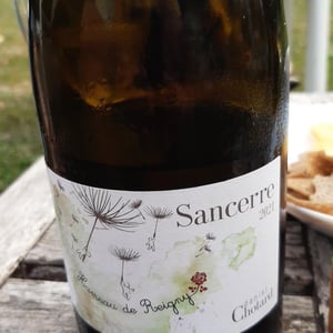 Hameau de Reigny - Domaine Daniel Chotard - juliette-et-simon-chotard -2021