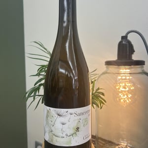 Hameau de Reigny - Domaine Daniel Chotard - simon-chotard -2022