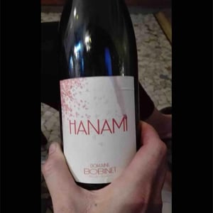 Hanami 2015