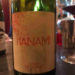 Hanami 2016