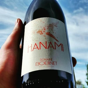 Hanami - Domaine Calvez-Bobinet - sebastien-bobinet-emeline-calvez