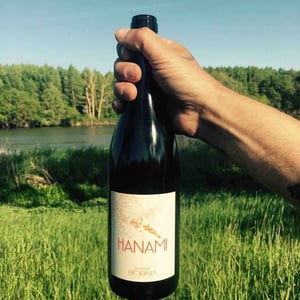 Hanami - Domaine Calvez-Bobinet - sebastien-bobinet-emeline-calvez