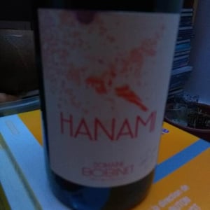 Domaine Calvez-Bobinet - Sébastien Bobinet & Emeline Calvez - Hanami