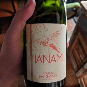 Hanami 2019