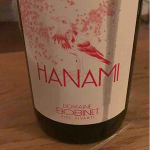 Hanami 2020