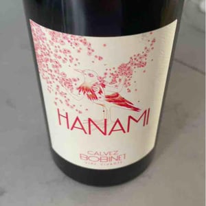Hanami 2022