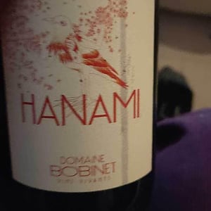 Hanami - Domaine Calvez-Bobinet - sebastien-bobinet-emeline-calvez