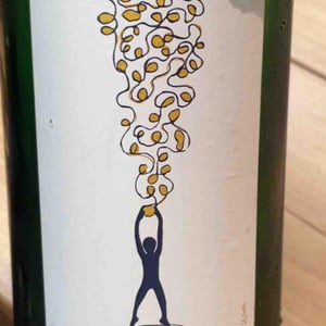 Soma Vines - Daisy Merrick & Antoine Lucchesi. - Hang On