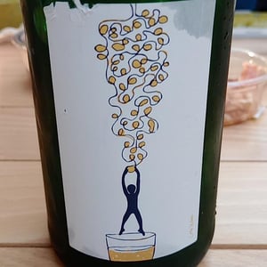 Soma Vines - Daisy Merrick & Antoine Lucchesi. - Hang On