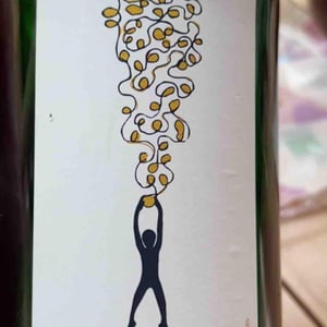 Soma Vines - Daisy Merrick & Antoine Lucchesi. - Hang On