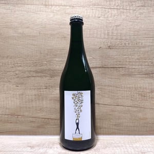 Hang On - Soma Vines - daisy-merrick-antoine-lucchesi