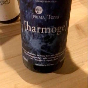 Harmoge - Primaterra - walter-de-batte-1j