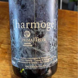 Harmoge - Primaterra - walter-de-batte-1j