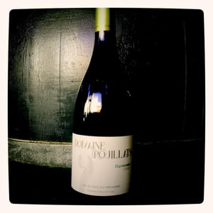 Harmonie - Domaine Des Rouillats - daniele-benoit-coq -2020