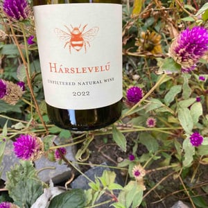 Hárslevelú - Hummel Pincészet - Weingut Hummel - Horst Hummel 