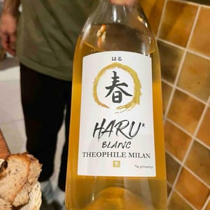 Haru Blanc - Domaine Milan - Emma, Théophile & Henri Milan 