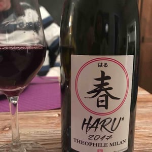 Haru - Domaine Milan - emma-theophile-henri-milan