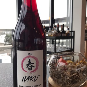 Haru - Domaine Milan - Emma, Théophile & Henri Milan 