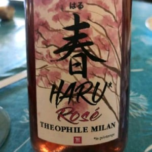Domaine Milan - Emma, Théophile & Henri Milan - Haru Rosé