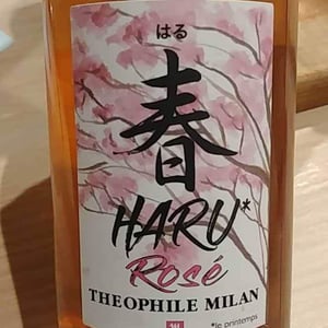 Domaine Milan - Emma, Théophile & Henri Milan - Haru Rosé