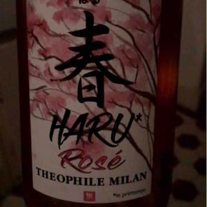 Haru Rosé - Domaine Milan - emma-theophile-henri-milan