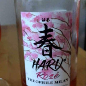 Domaine Milan - Emma, Théophile & Henri Milan - Haru Rosé