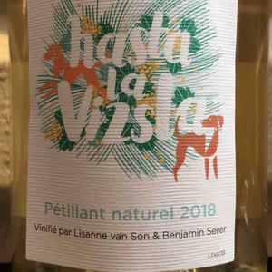Hasta la Vizsla - Domaine des Sonnettes - Sonshine Vins - edouard-gouyette-lisanne-van-son