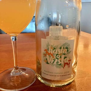 Hasta la Vizsla - Domaine des Sonnettes - Sonshine Vins - Edouard Gouyette & Lisanne van Son 