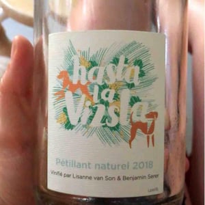 Hasta la Vizsla - Domaine des Sonnettes - Sonshine Vins - Edouard Gouyette & Lisanne van Son 