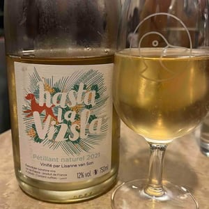 Hasta la Vizsla - Domaine des Sonnettes - Sonshine Vins - Edouard Gouyette & Lisanne van Son 