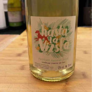 Hasta la Vizsla - Domaine des Sonnettes - Sonshine Vins - Edouard Gouyette & Lisanne van Son 