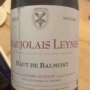 Haut de Balmont - Clos des Vignes du Maynes - Julien Guillot 