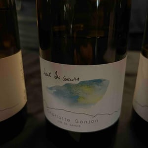 haut les coeurs - Charlotte Sonjon - Charlotte Sonjon -2021