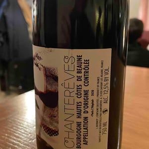 Haute Cote De Beaune Paris L Hopital - Domaine Chantereves - guillaume-bott-tomoko-kuriyama -2020