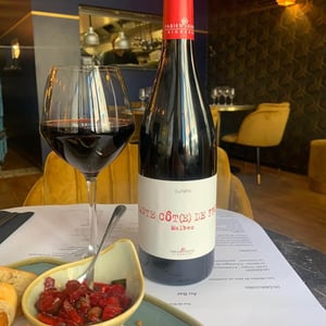 Haute Côt(e) De Fruit - Malbec - Mas del Périé - fabien-jouves