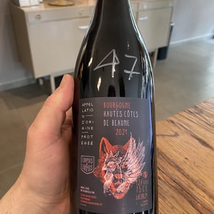 HAUTES COTE DE BEAUNE - Domaine Arnaud Chapuis - arnaud-chapuis -2020