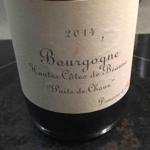 Hautes Côtes De Beaune "Puits De Chaux" - Domaine de Chassorney - Frédéric Cossard 